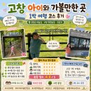 디스이즈미 | 고창 아이와 1박2일 여행 코스 청보리밭 선운사 후기