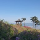 바람고개 체육시설 | 왕방산 팔각정 철쭉 개화현항.선단체육시설 1코스.4코스 소요시간