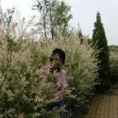 사회복지법인인정재활원 이미지