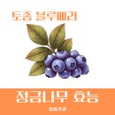 정금농장 이미지