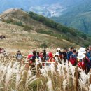 신동3리 이미지