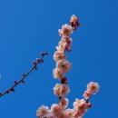 봄 - 봉화군 봉화로 1163 | 봄