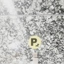 펫토피아(PETOPIA) 이미지