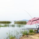 난정리(해바라기정원) 이미지