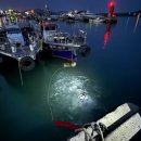 신월동119 이미지