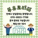 경주시 농업기술센터 북부사업소 | 개폐기로 시원한 개방감 하우스 / 안동·문경·경주 농막 하우스