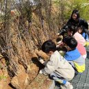 진천유치원 이미지