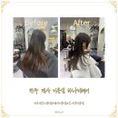 전주 객사 미용실 추천 하나비헤어 염색 헤어톤 정리 솔직후기