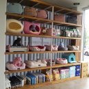 바우애견 이미지