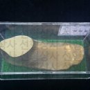 선형상사 이미지