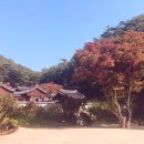 도산원탕 이미지