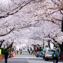 삼익아파트 앞 이미지