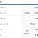 디딤돌의전