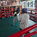 충의체육관 이미지