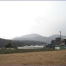 장등농장 이미지