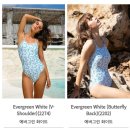 에버그린디자인