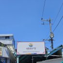 강릉중앙시장 주차 메뉴추천 강릉사임당오징어순대 감자닭강정 길감자 솔직후기