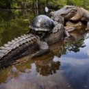 노닥노닥 이미지