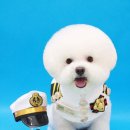 전설의 그루밍 이미지