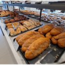 카페라임 이미지