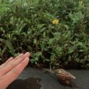 서울리프 이미지