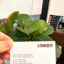 부산정통 가야밀면 이미지