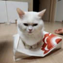 투다리(그린점) 이미지