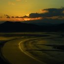 순천만습지 이미지