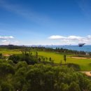 골드골프클럽 이미지