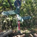 안심초등학교 이미지