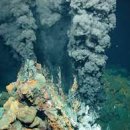 생명의 분출 이미지