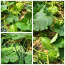 검단노인복지관(7) 이미지