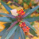 서홍동-13 이미지