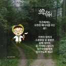 숲속의이야기