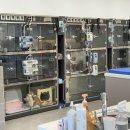 한결동물의료센터 이미지