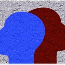 인성교육 지도사 이미지