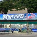 참바다횟집 | 현지인이 추천해 준 동해 묵호항 대게맛집 참바다횟집 내돈내산 후기