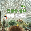 국내 최대 돔형 유리온실 식물원 '거제 정글돔' 이미지