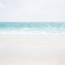 망고베리 이미지