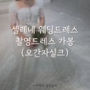 w-25 | W. 25 셀레네 촬영드레스 가봉 후기 오간자실크