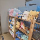 하나로 카 월드 | 2동탄 하나로마트 키즈카페 🦕 동탄공룡월드 방문후기 (내돈내산, 강력추천)