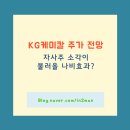 나비케미칼