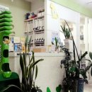 정철동물병원 이미지