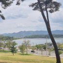 영천한우판매식당 | 경산 대구대 인재양성관 겹벚꽃, 늘푸른테마공원, 영천 보현산댐 출렁다리, 강남한우식육식당 후기