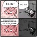 스토리플래그