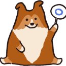 김민재동물병원 이미지