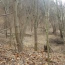 해성부동산공인중개사사무소 이미지