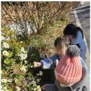 그림아이들어린이집 이미지