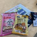 펫클럽일산