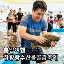 신성리 갈대받 진입도로 | 2026 장항항 수산물 꼴갑축제 일정 라인업 한눈에 정리